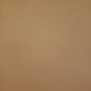 Meet your Posher, Ruth